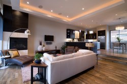 Contemporary-Living-Room-Design-Ideas-Inspiration-Modern-Living-Room-Ideas-For-Inspiration-Free-Room-Design-Software