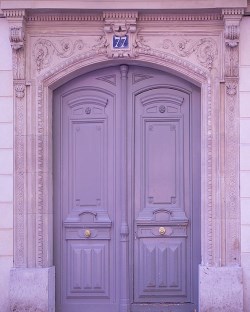 door (8)